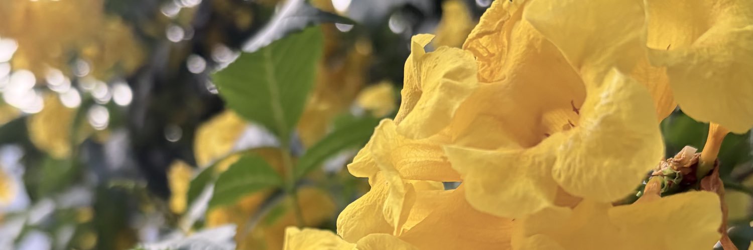 Paula_𝕄𝕠𝕞 🥂 🪟 🛀 🍞🥛 banner