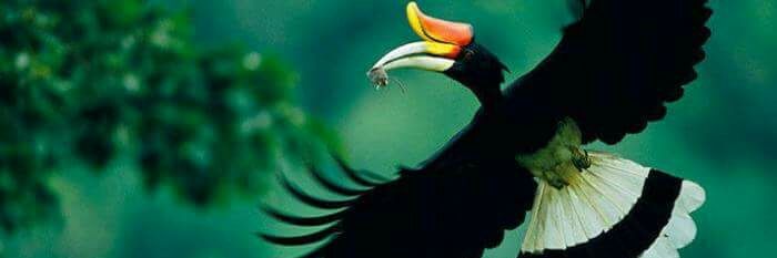 bangkit_hebat's profile banner image