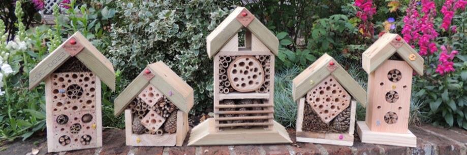 InsectHouse's profile banner image