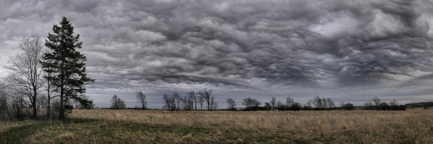 Jeremiah Selander banner