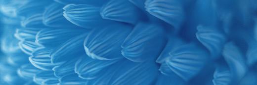 akanenene's profile banner image