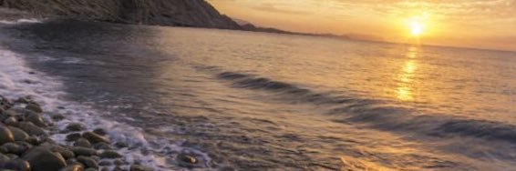 ZainaShamer's profile banner image