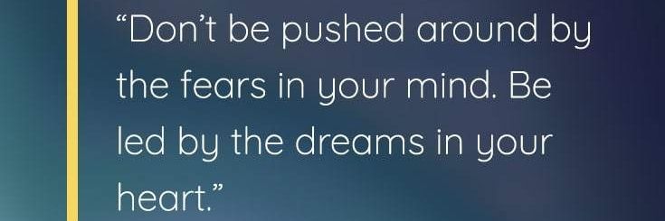 🐼🐻Tere🐼🐻 banner