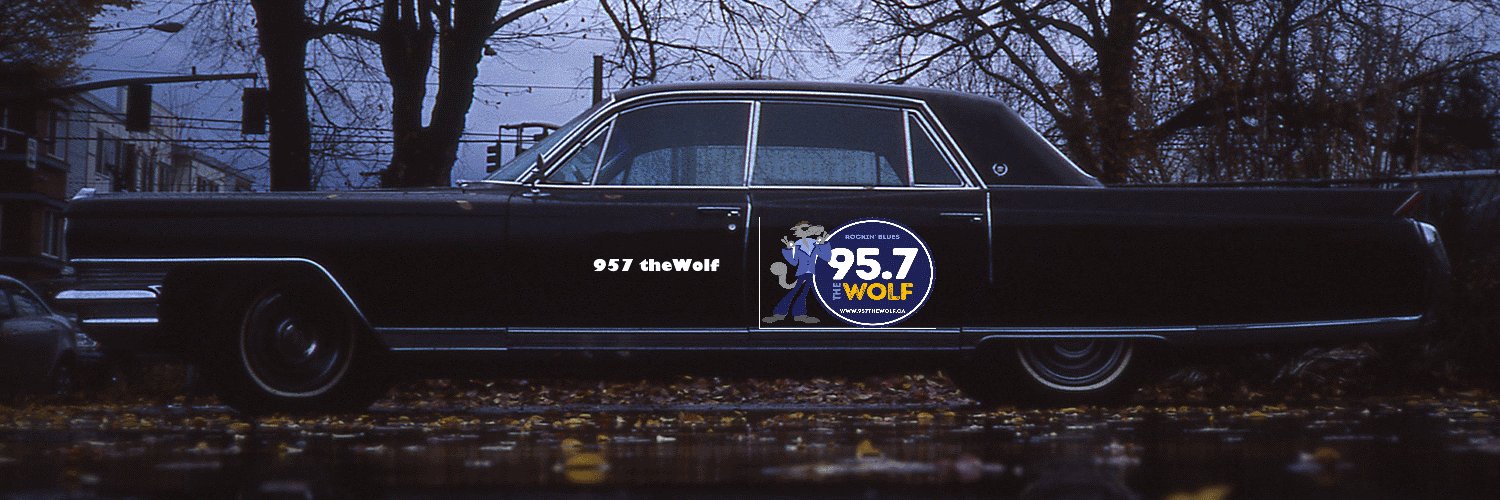 GordonAWilson1's profile banner image
