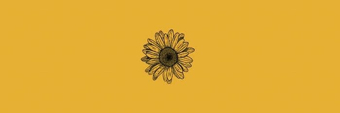 ihaveabunny's profile banner image