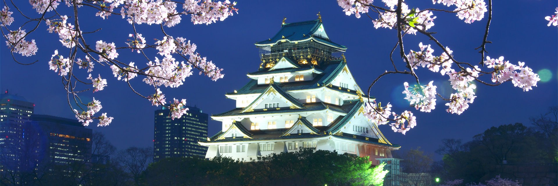 akamiso1002's profile banner image