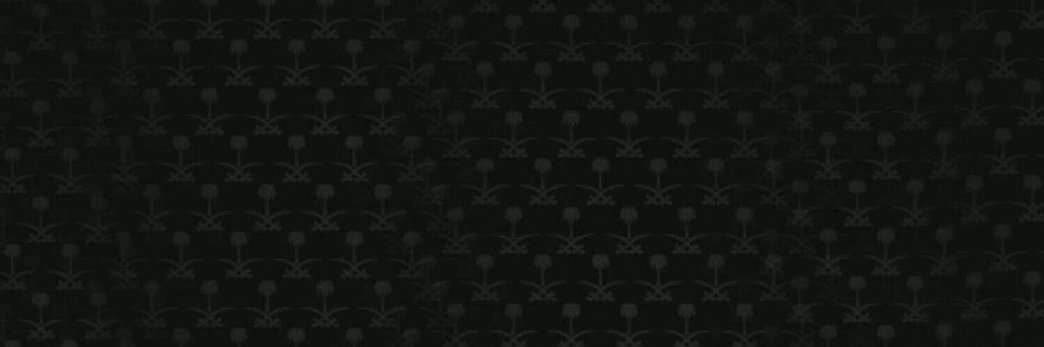 A_ii1's profile banner image