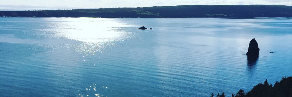 ErikaPardy's profile banner image