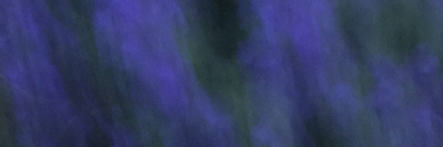 zachdevlin's profile banner image