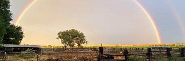 TyCMcNamee Profile Banner