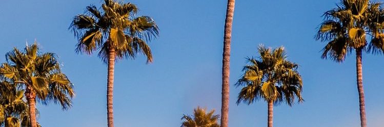 jesseamaton's profile banner image