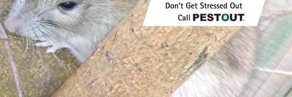 PestOutHR Profile Banner