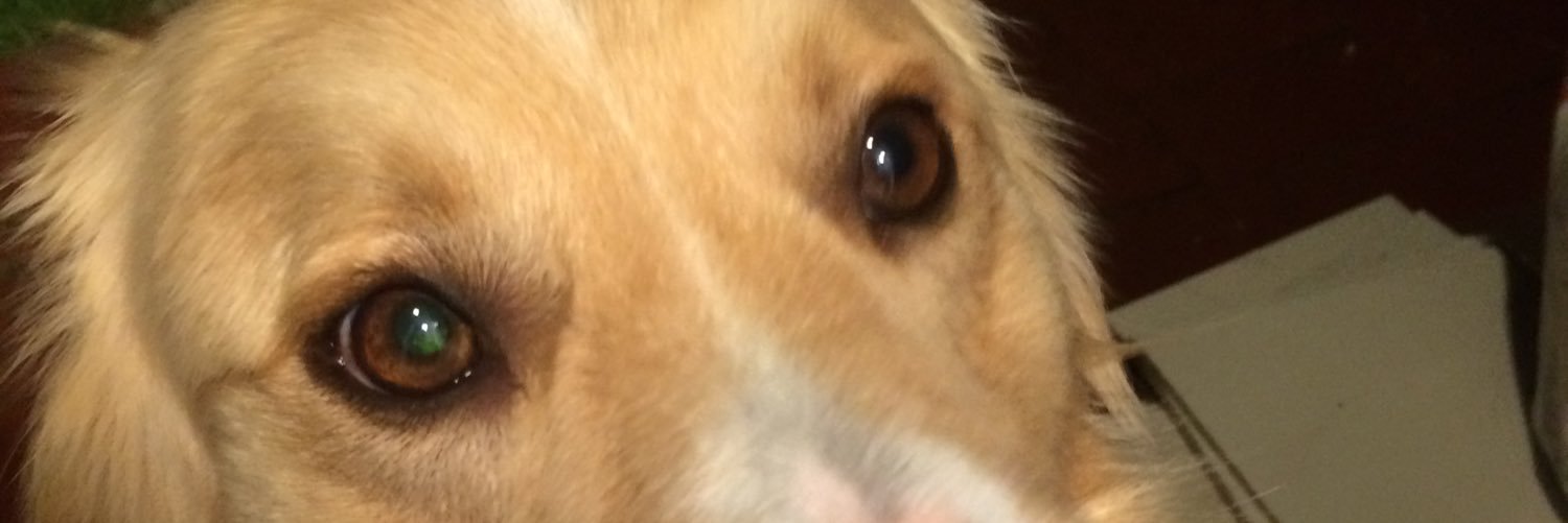 sam__szabo's profile banner image
