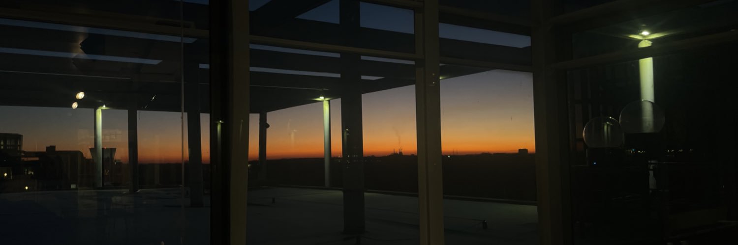 Signe Mansdotter banner