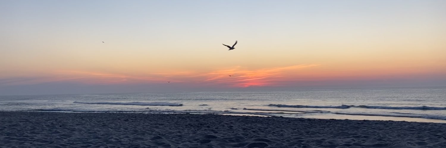 NJ Beach Report banner