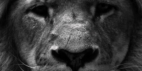 RoserParedes's profile banner image