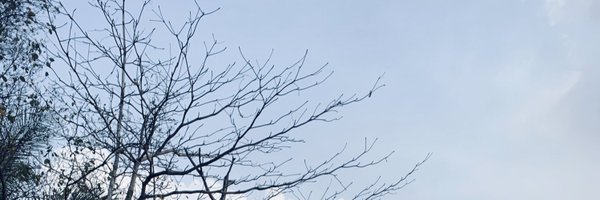 alanbudisatria Profile Banner