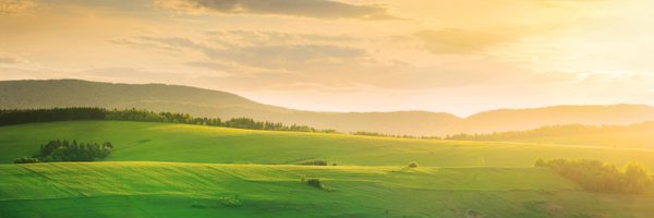 Kiwi_Energy Profile Banner