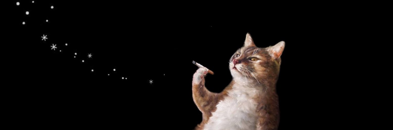 𝖘𝖆𝖎𝖑𝖔𝖗 𝖛𝖎𝖈 🎠 banner