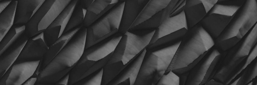 PigeonToesz's profile banner image