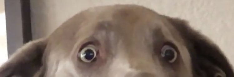 matykyle's profile banner image
