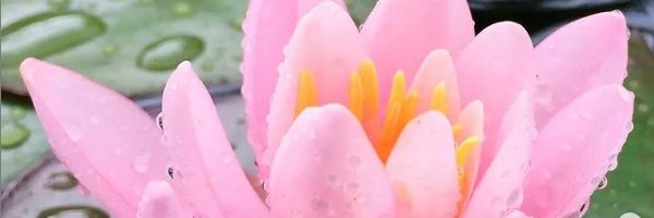 la_8_nota's profile banner image