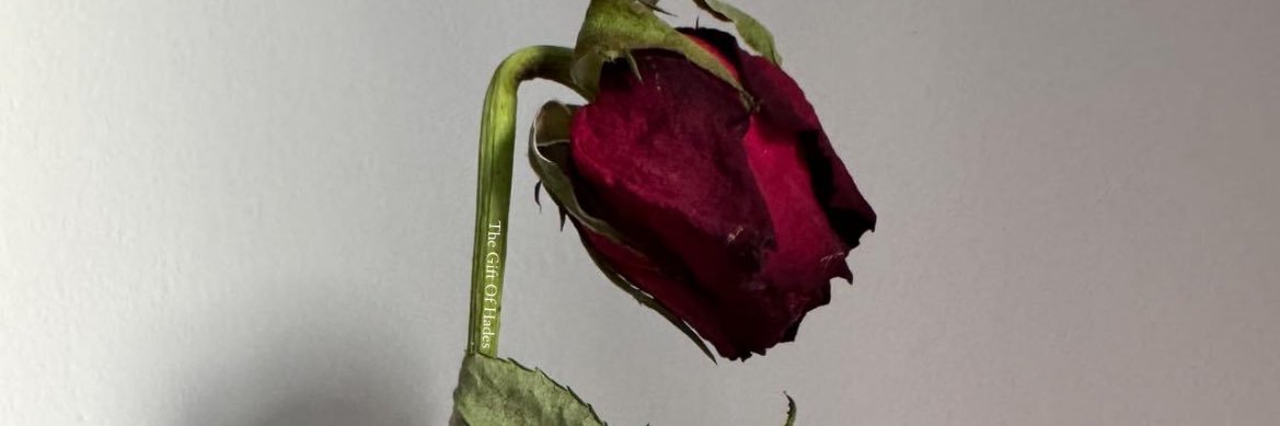 _Dimeee__'s profile banner image