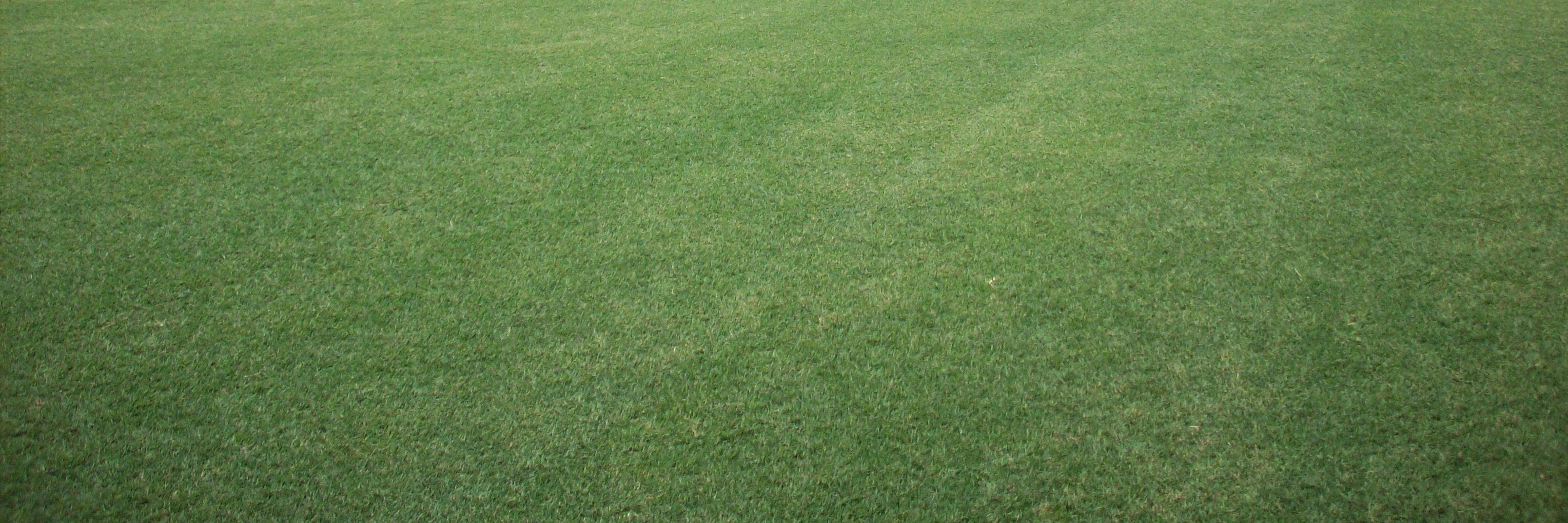 acah29's profile banner image