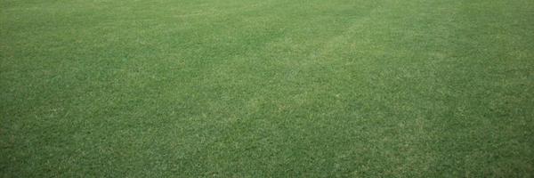 acah29 Profile Banner