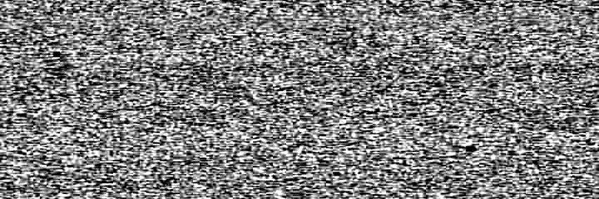 Bismo Funyuns banner