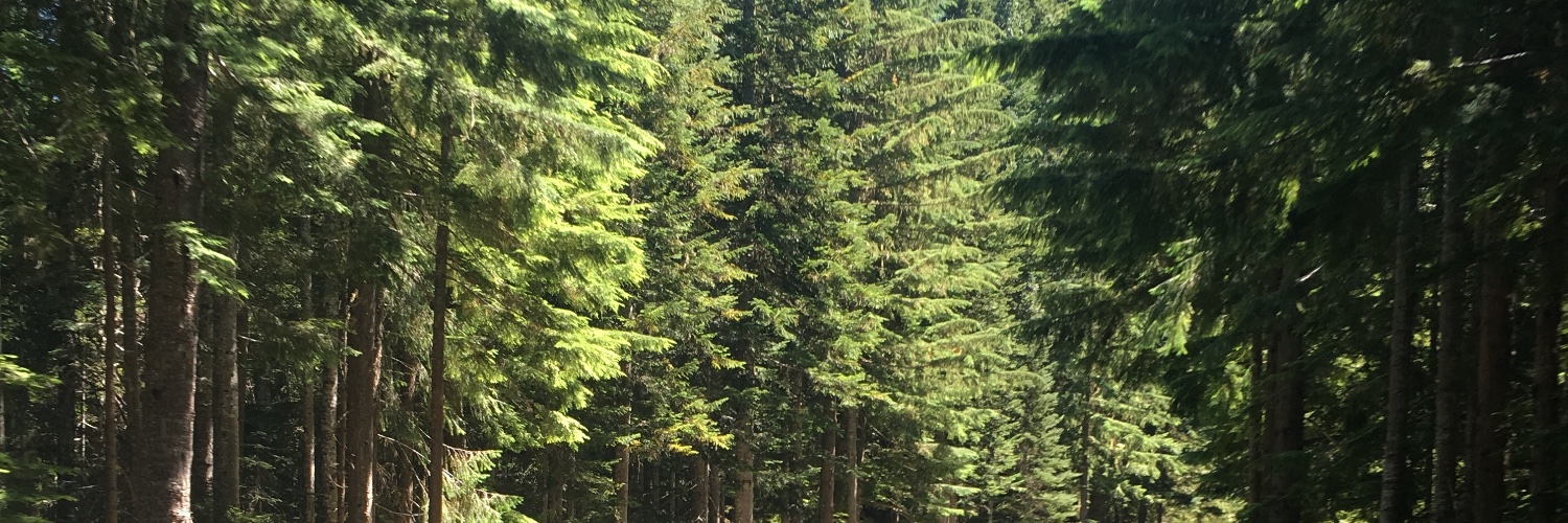 MaxBessler's profile banner image