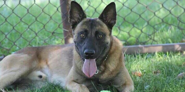 cpdbadboyz's profile banner image