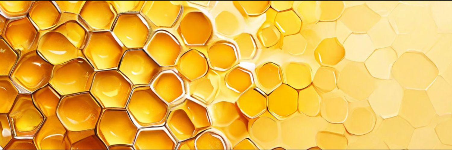 Шмелекотан🐝✨ banner