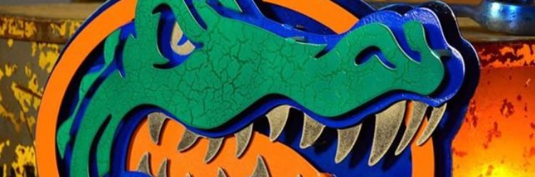 TaylorRyHammons's profile banner image