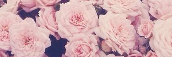 Manon_96's profile banner image