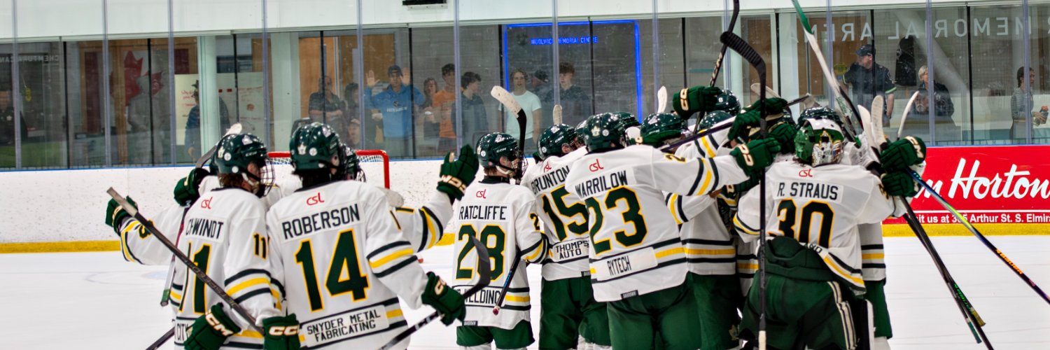 Elmira Sugar Kings banner