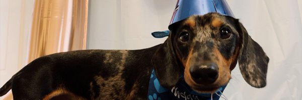 TaylorGoodnite Profile Banner