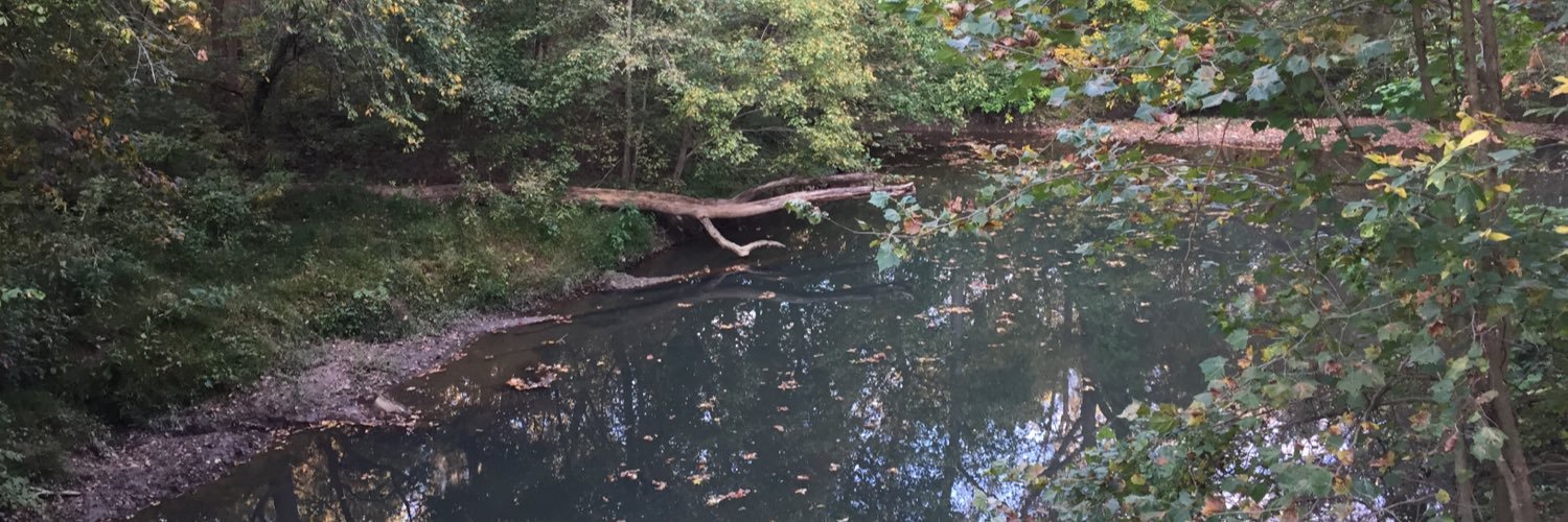 Thomas Pranzatelli banner