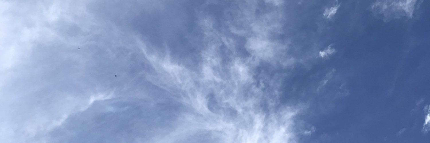 M banner