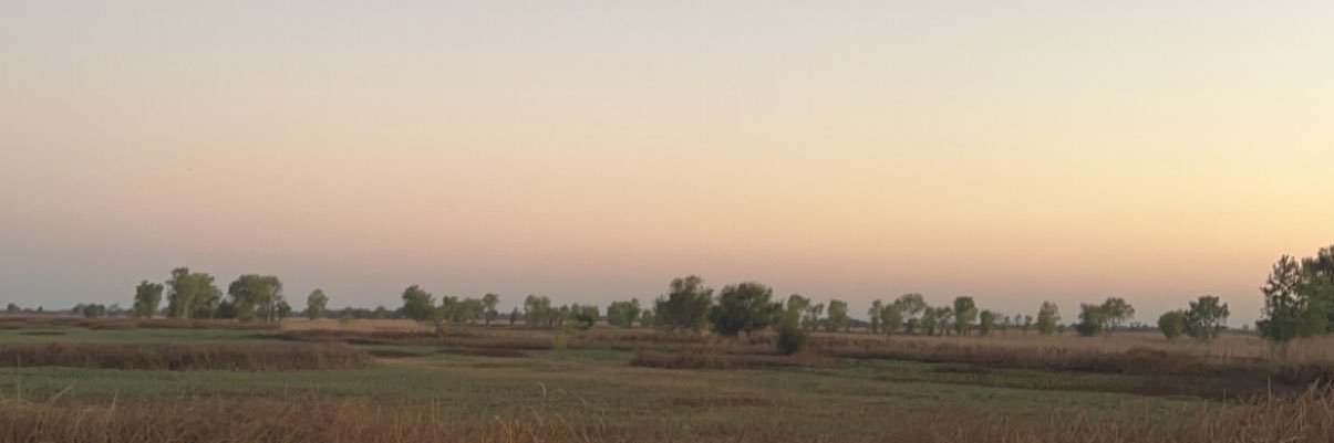 ivetsays's profile banner image