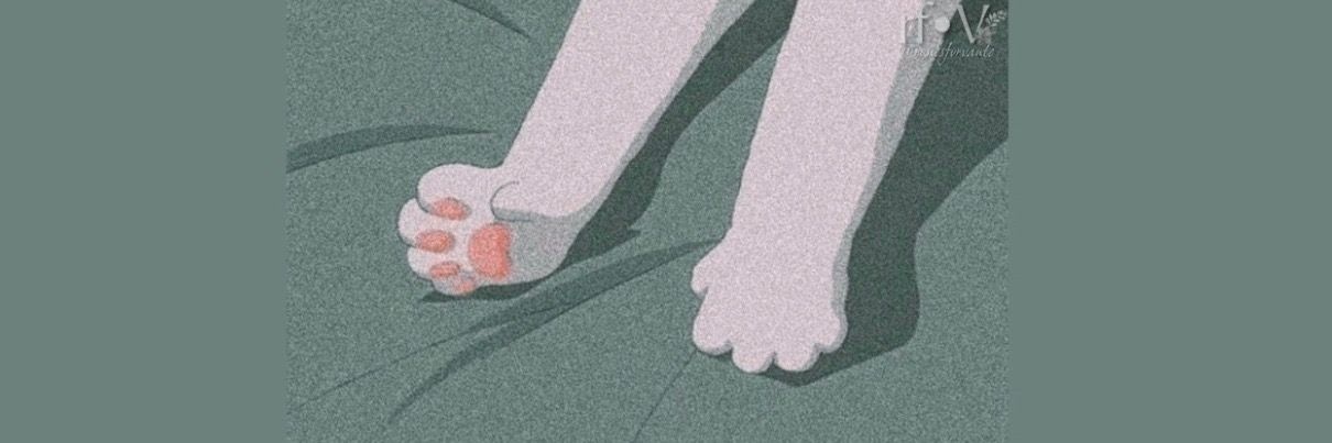 selaio_Lee's profile banner image