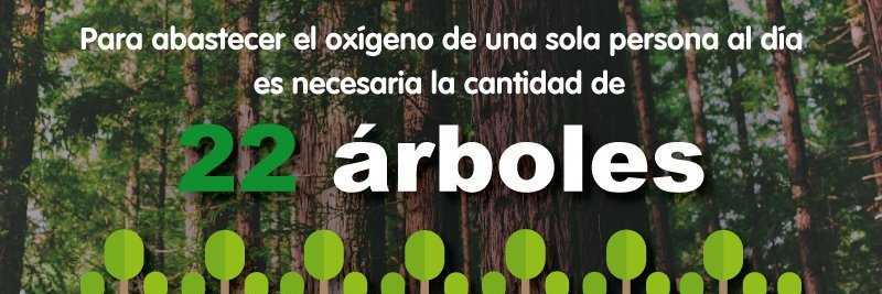 Ecuador Forestal banner