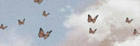 OriBustos's profile banner image