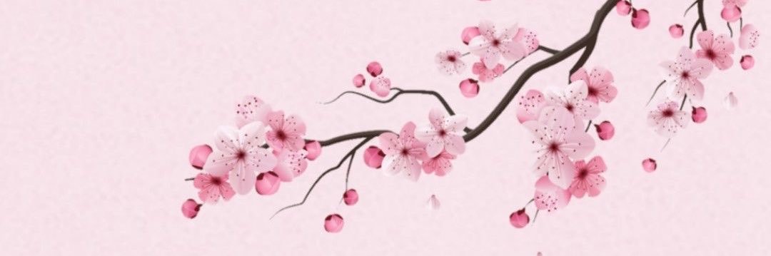 nahistacul's profile banner image