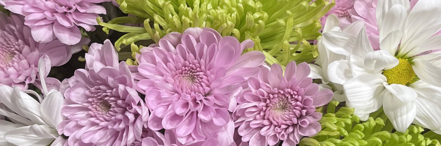 AndreaJCabrera's profile banner image