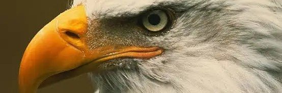 surakat619's profile banner image