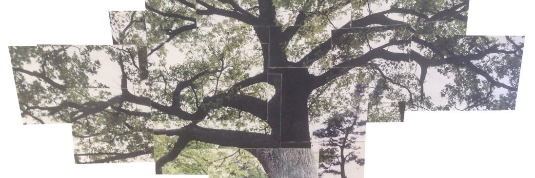 AJReingardt's profile banner image