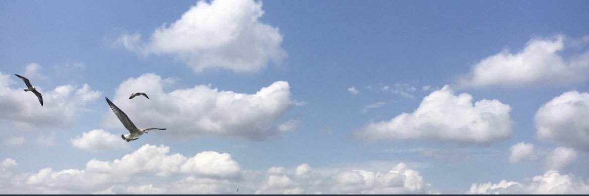 Tasbee7_'s profile banner image