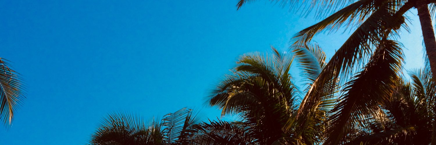 cindyeh_'s profile banner image
