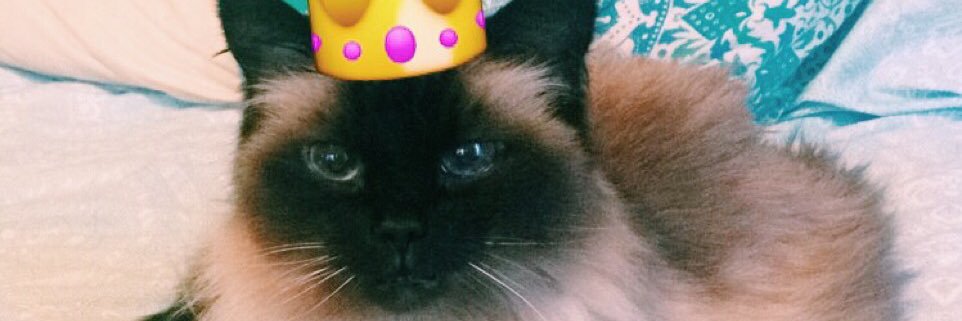Neonlolita's profile banner image